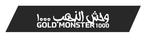 kirikkale-minelab-gold-monster-1000